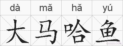 大马哈鱼的拼音