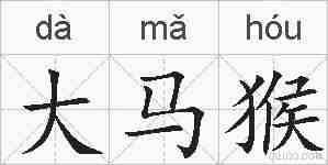 大马猴的拼音