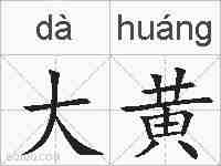大黄的拼音