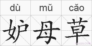 妒母草的拼音