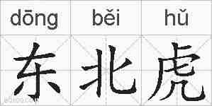 东北虎的拼音