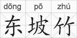 东坡竹的拼音