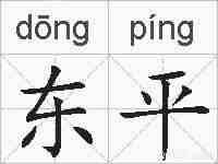 东平的拼音