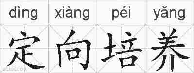 定向培养的拼音