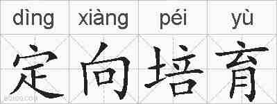 定向培育的拼音