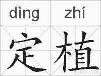 定植的拼音