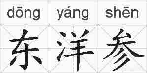 东洋参的拼音
