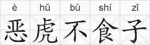 恶虎不食子的拼音