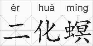 二化螟的拼音