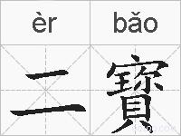 二寳的拼音