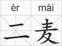 二麦的拼音