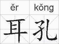 耳孔的拼音