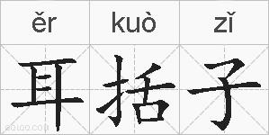 耳括子的拼音