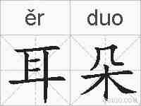 耳朵的拼音
