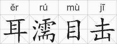 耳濡目击的拼音