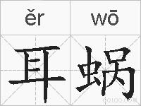 耳蜗的拼音