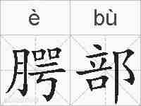 腭部的拼音