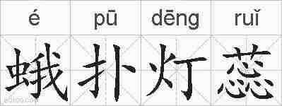 蛾扑灯蕊的拼音