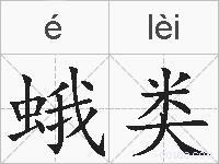 蛾类的拼音