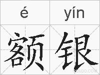 额银的拼音