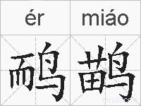 鸸鹋的拼音