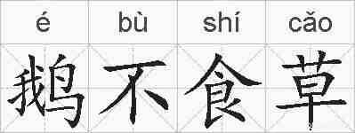鹅不食草的拼音