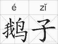 鹅子的拼音