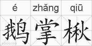 鹅掌楸的拼音