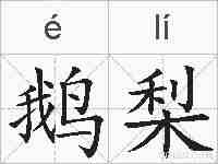 鹅梨的拼音