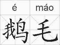 鹅毛的拼音