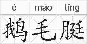 鹅毛脡的拼音