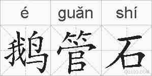 鹅管石的拼音