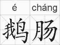 鹅肠的拼音