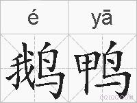 鹅鸭的拼音