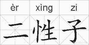 二性子的拼音