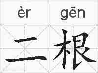二根的拼音