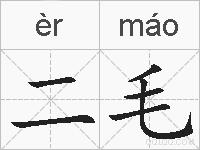 二毛的拼音