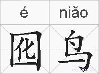 囮鸟的拼音