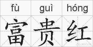 富贵红的拼音
