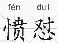 愤怼的拼音