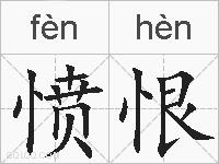 愤恨的拼音