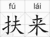 扶来的拼音