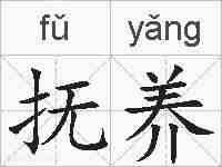 抚养的拼音