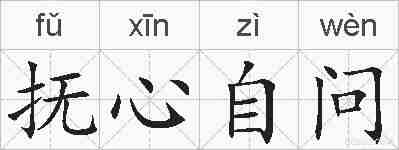 抚心自问的拼音