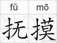 抚摸的拼音