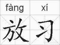 放习的拼音