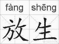 放生的拼音