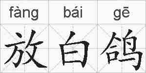 放白鸽的拼音