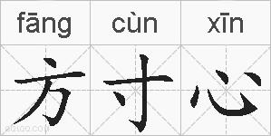方寸心的拼音