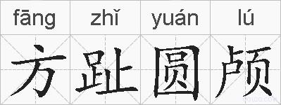 方趾圆颅的拼音